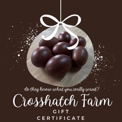 give the gift of chicks form a dark Marans line